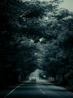 Night road - Free Stock Photo