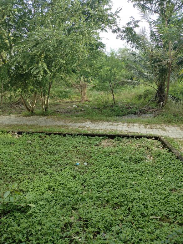 Free stock image of Park created by Kalaivani