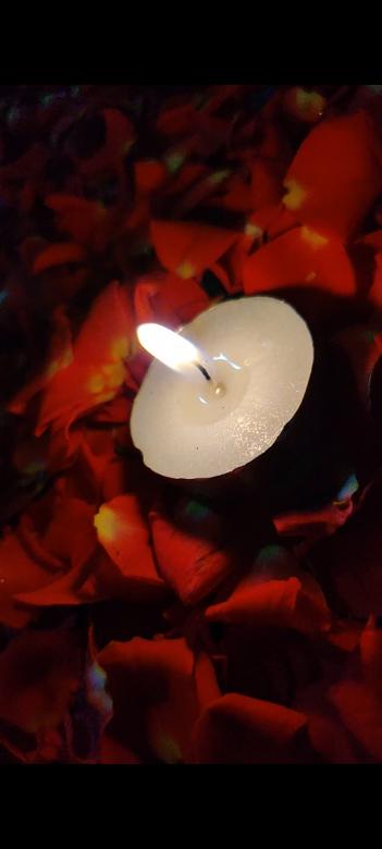 Free stock image of Candle Light created by Mudumba Hitesh Kumar
