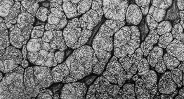 black and white liquid - Free Stock Photo