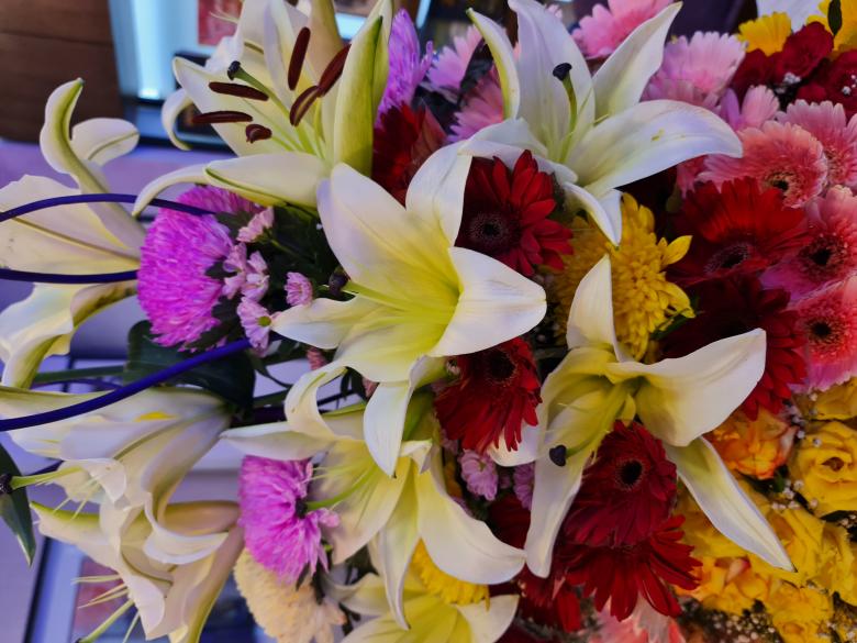 Free stock image of Extraordinary colourful flower  created by MAHBUB MORSHED BHUYAN