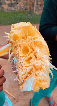 Jack fruit with the natural light 