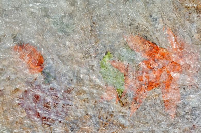 Free stock image of Frozen Facets created by Nicolas Raymond