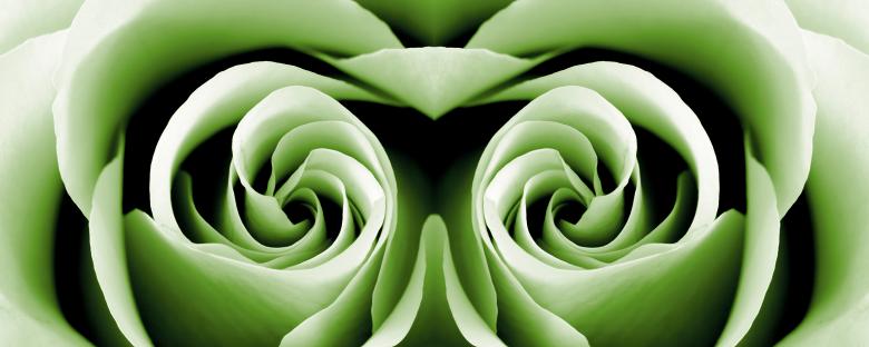 Free stock image of Reptilian Rose created by Nicolas Raymond
