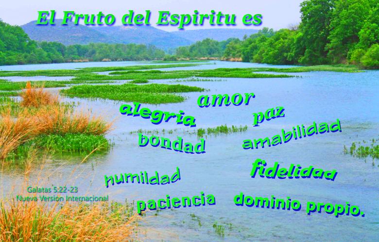 Free stock image of El Fruito del Espiritu created by DFNatureAwed
