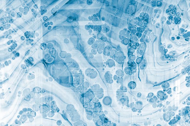 Free stock image of Cellular Blueprint created by Nicolas Raymond