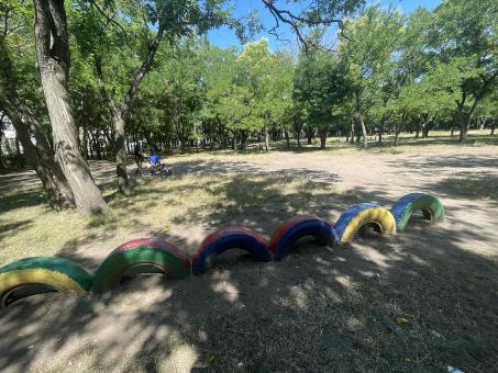 Park landscape - Free Stock Photo