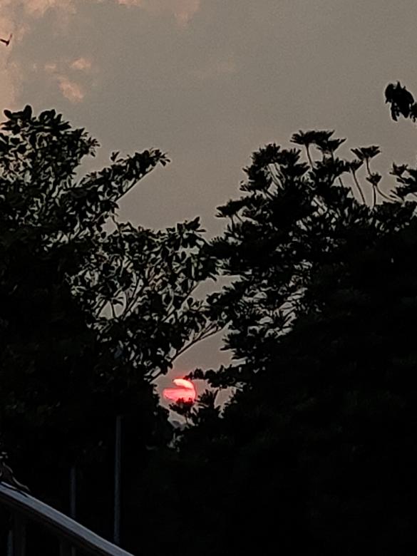 Free stock image of Evening Sunset created by See Li Yi