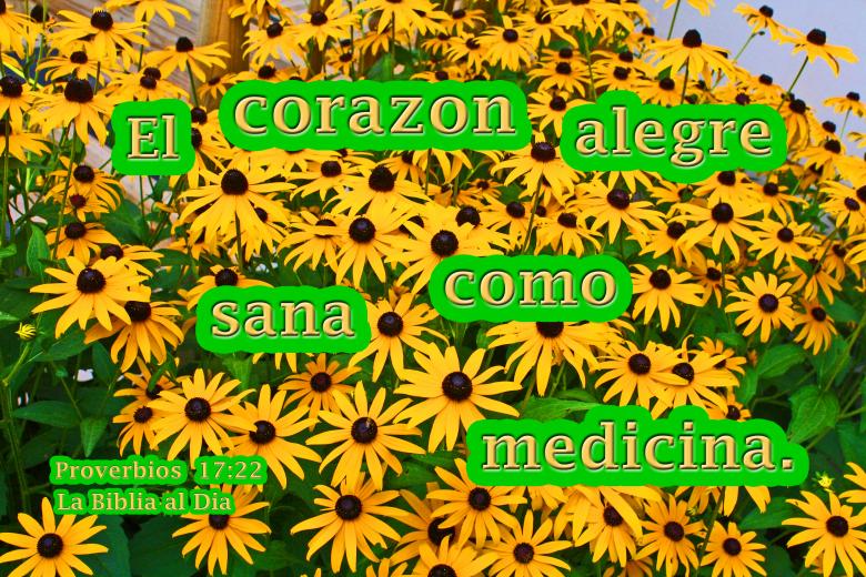 Free stock image of Corazon Alegre Como Medicina created by DFNatureAwed