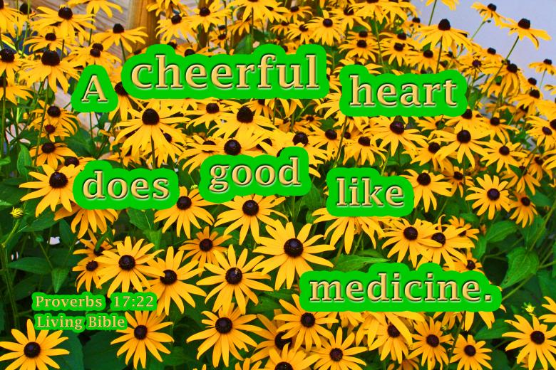 Free stock image of Cheerful Heart Like Medicine created by DFNatureAwed