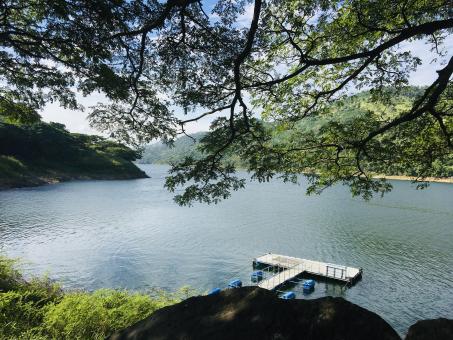 Lake - Free Stock Photo