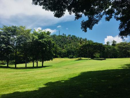 Golf - Free Stock Photo