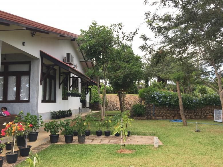 Free stock image of Home created by Kavindya