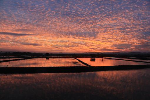 Senja talangan - Free Stock Photo
