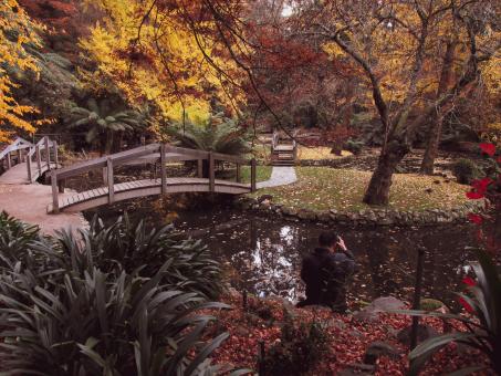 Autumn garden