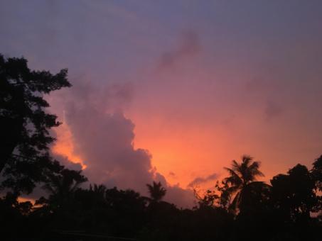 Sunset - Free Stock Photo