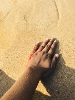Beach  - Free Stock Photo