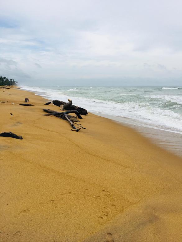 Free stock image of Sandy beach created by Kavindya