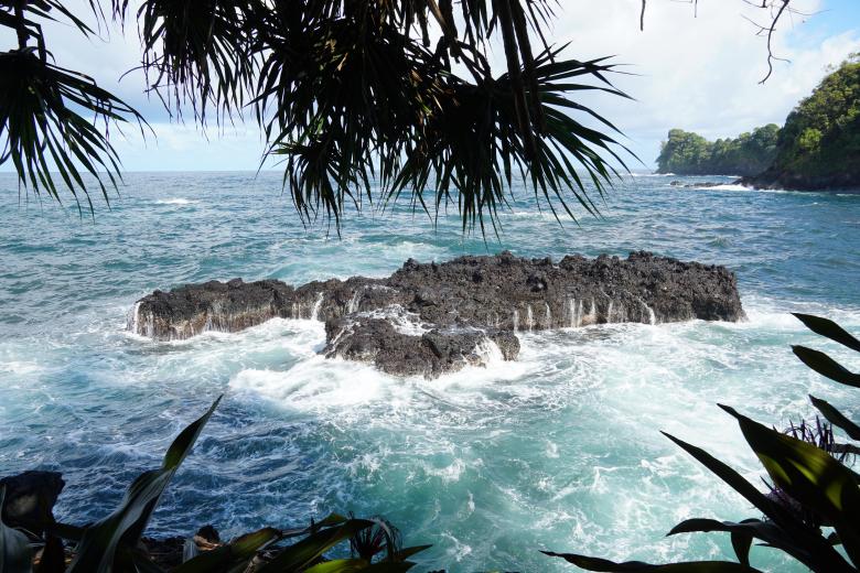 Free stock image of Paradise created by Phelan Riessen