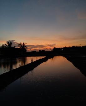 Sunset lake beautiful - Free Stock Photo