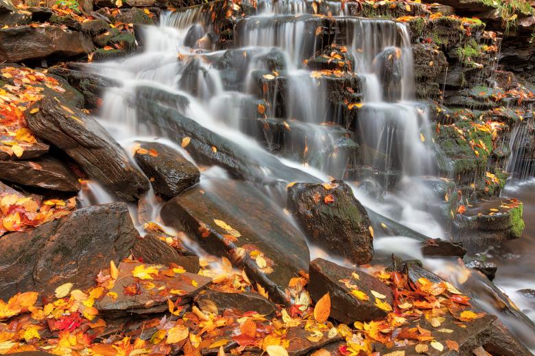 Free stock image of Autumn Cayuga Slide Falls created by Nicolas Raymond