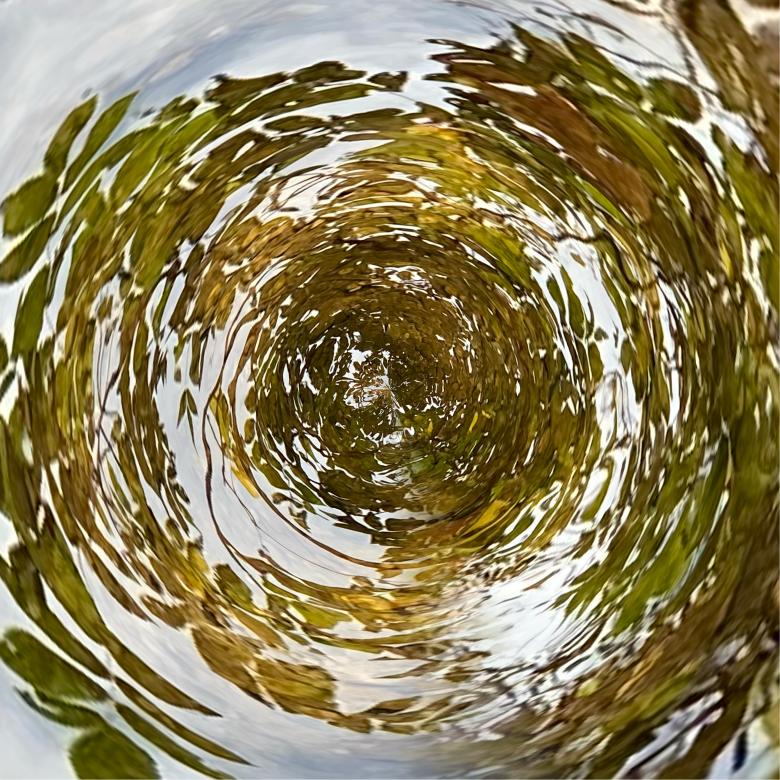 Free stock image of Swirling Leaves  created by Debbie White