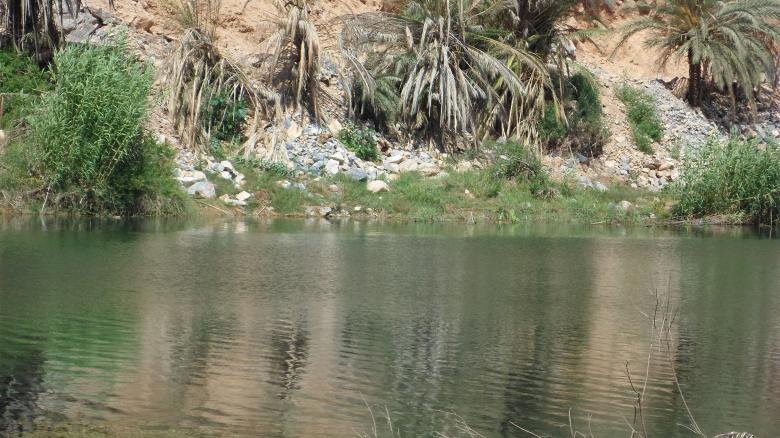 Free stock image of la nature de source boutboukalte created by hassan