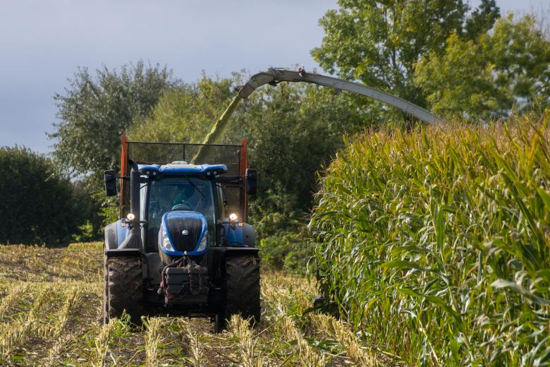 Free stock image of Blue tractor towing a trailer on corn field created by Mirko Fabian