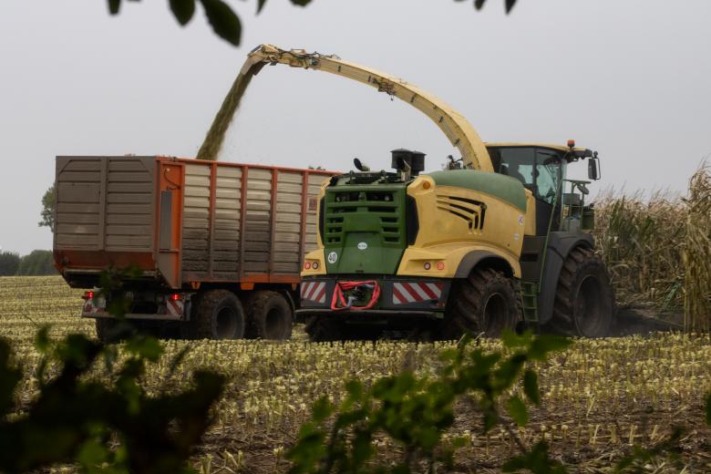 Free stock image of Harvesting maize silage in autumn created by Mirko Fabian