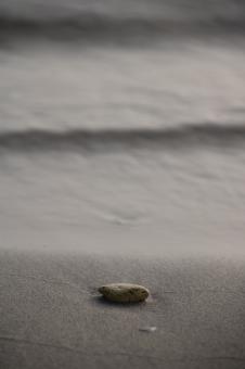Single rock on a beach - Free Stock Photo