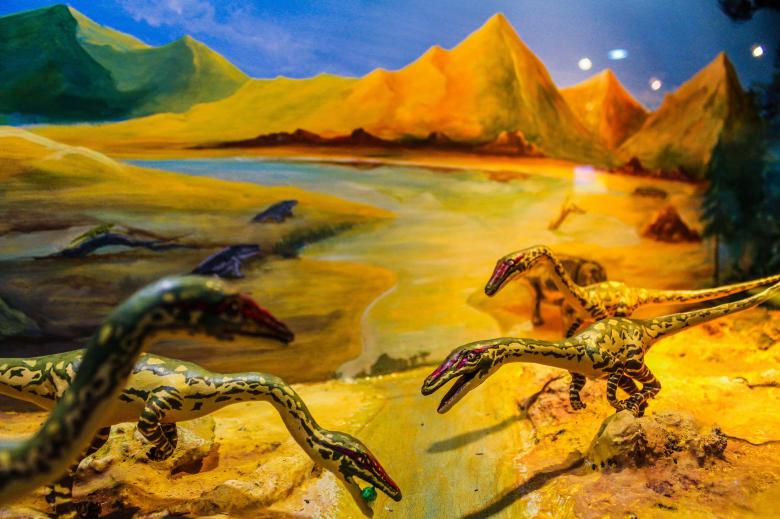 Free stock image of phu-Wiang , dinosaur Khonkaen  thailand created by icon0.com
