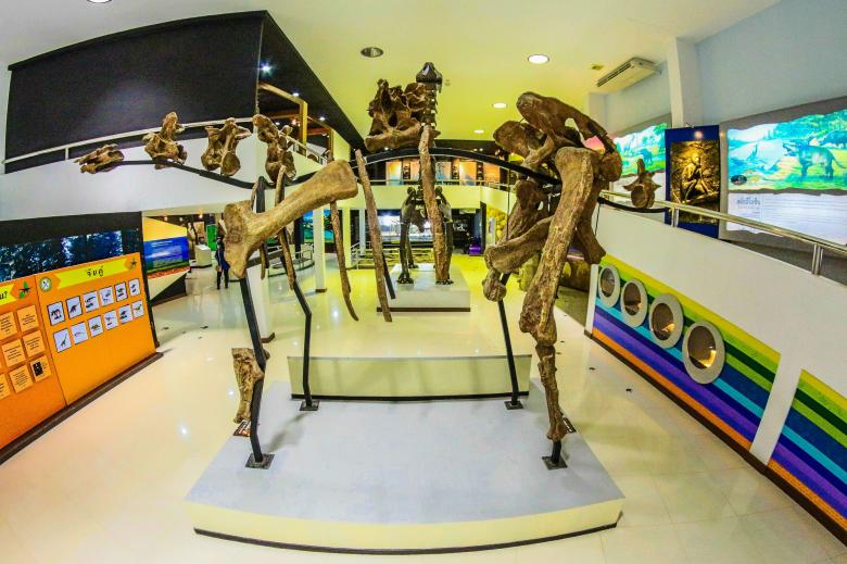 Free stock image of phu-Wiang , dinosaur Khonkaen  thailand created by icon0.com