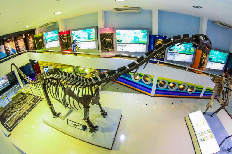 Free stock image of phu-Wiang , dinosaur Khonkaen  thailand created by icon0.com