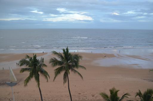 Beachside - Free Stock Photo