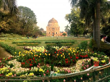 Lodhi Garden - Free Stock Photo
