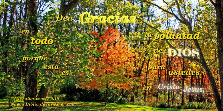 Free stock image of Den Gracias en Todo created by DFNatureAwed
