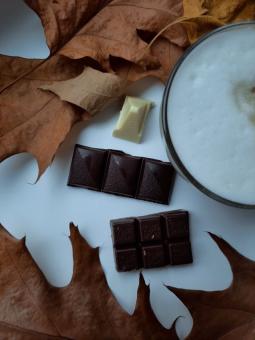 chocolate - Free Stock Photo