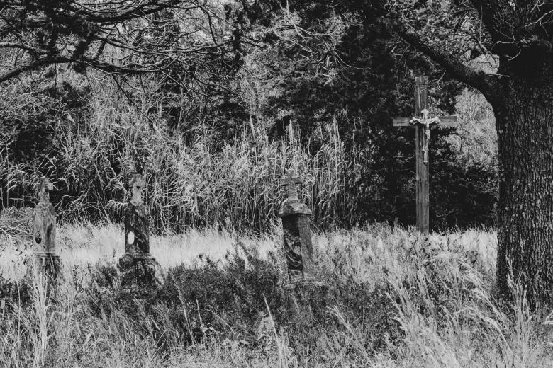 Free stock image of Crosses in the grass created by Daniel