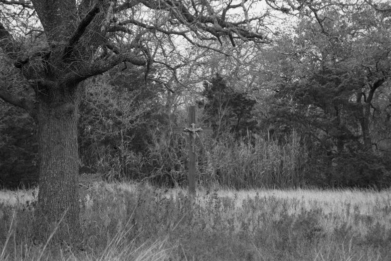 Free stock image of Jesus in the grass created by Daniel
