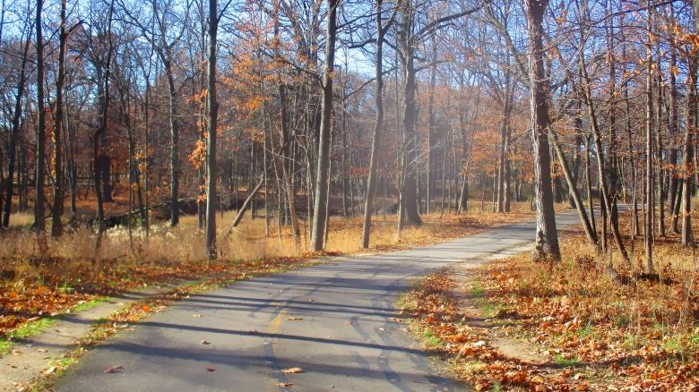 Free stock image of Fall Scenic created by Mq Best Visual Arts
