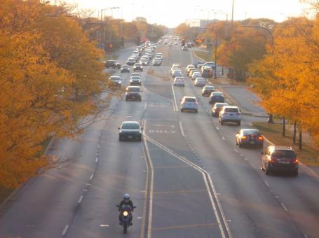 Autumn Road - Free Stock Photo