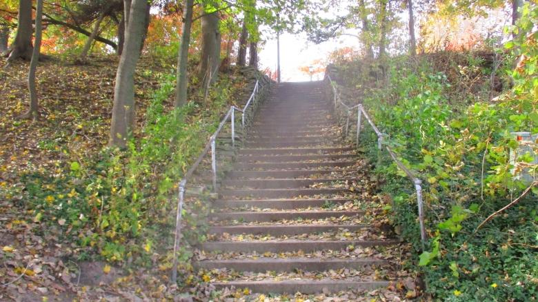 Free stock image of Nature Stairway created by Mq Best Visual Arts