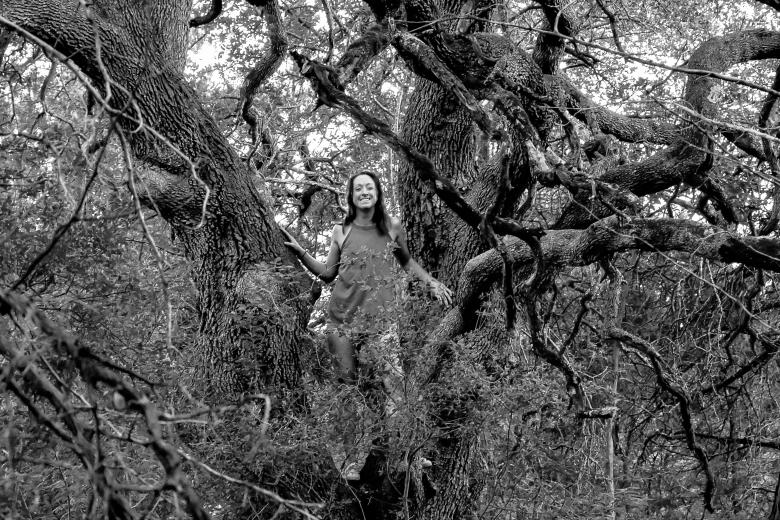 Free stock image of She’s in a tree  created by Daniel