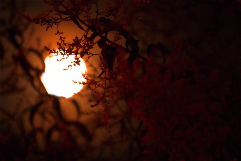 Free stock image of Halloween moon created by Dreamlandscape