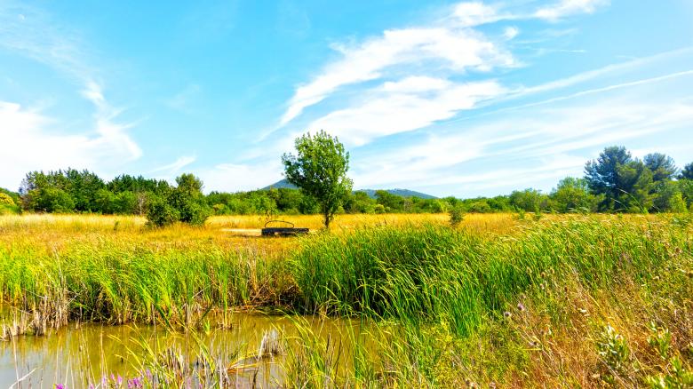 Free stock image of Wheat landscape created by Dreamlandscape