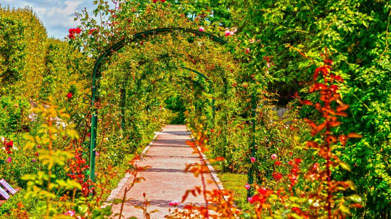 Free stock image of Garden created by Dreamlandscape