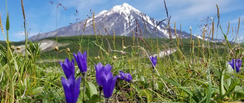 Mountain peak - Free Stock Photo