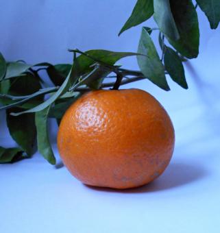 Single Orange With Green Leaves - Free Stock Photo
