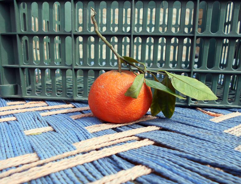 Free stock image of Single Orange created by Farzana Ahmad Awan