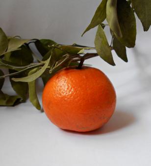 Fresh Orange With Leaves  - Free Stock Photo